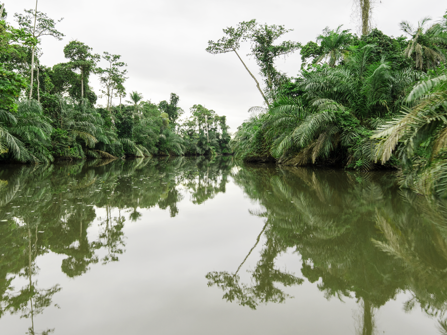 Rivière miroir d'Akaka en pirogue, forêt équatoriale gabonaise